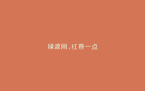 绿波间，红香一点