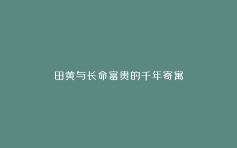田黄与长命富贵的千年寄寓