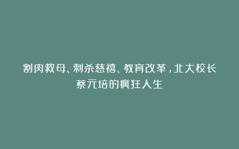 割肉救母、刺杀慈禧、教育改革，北大校长蔡元培的疯狂人生
