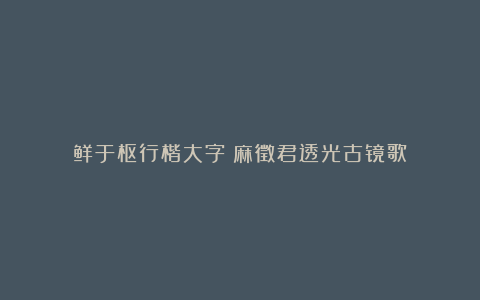 鲜于枢行楷大字《麻徵君透光古镜歌》