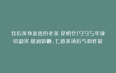 饮后浑身发热的老茶!昆明仓1995年绿印勐宋:甜润如糖,七道茶汤后气韵炸裂!