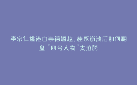 李宗仁逃港白崇禧遁越，桂系崩溃后如何翻盘？“四号人物”太拉胯