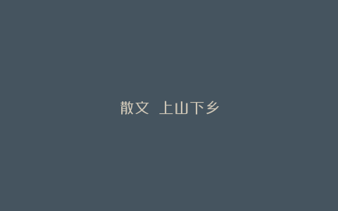 散文||上山下乡