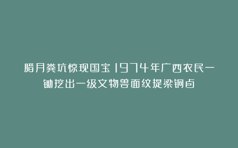 腊月粪坑惊现国宝！1974年广西农民一锄挖出一级文物兽面纹提梁铜卣！