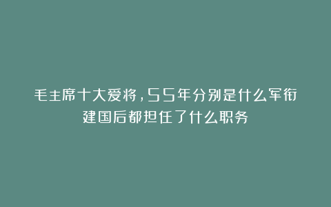 毛主席十大爱将，55年分别是什么军衔？建国后都担任了什么职务？