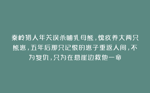 秦岭猎人年关误杀哺乳母熊，愧疚养大两只熊崽，五年后那只记恨的崽子重返人间，不为复仇，只为在悬崖边救他一命