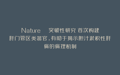 Nature | 突破性研究：首次构建肝门管区类器官，有助于揭示胆汁淤积性肝病的病理机制
