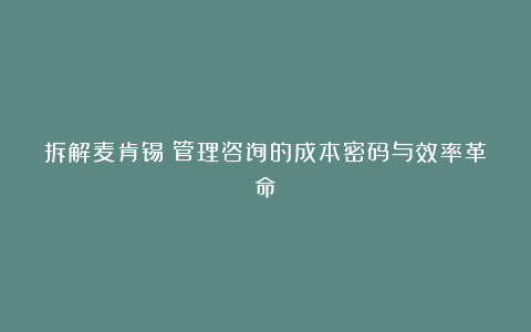 拆解麦肯锡：管理咨询的成本密码与效率革命