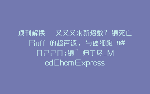 顶刊解读 | 又又又来新招数? 铜死亡 Buff 的超声波, 与癌细胞 “铜” 归于尽_MedChemExpress