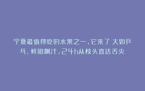 宁夏最值得吃的水果之一，它来了！大如乒乓、鲜甜飙汁，24h从枝头直达舌尖！