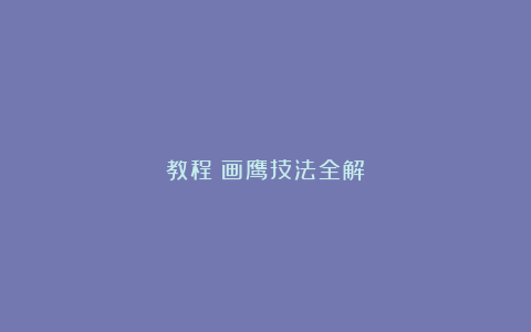 教程｜画鹰技法全解