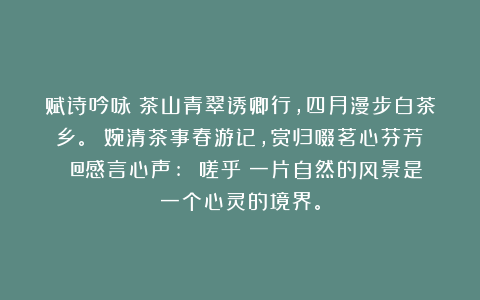 赋诗吟咏：茶山青翠诱卿行，四月漫步白茶乡。 婉清茶事春游记，赏归啜茗心芬芳！ @感言心声: 嗟乎！一片自然的风景是一个心灵的境界。
