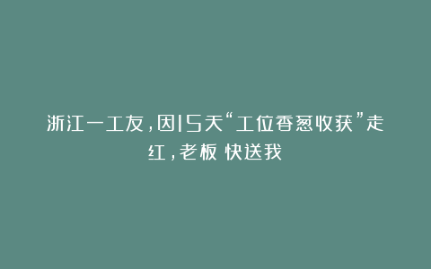 浙江一工友，因15天“工位香葱收获”走红，老板：快送我！
