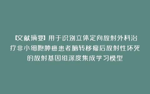 【文献摘要】用于识别立体定向放射外科治疗非小细胞肺癌患者脑转移瘤后放射性坏死的放射基因组深度集成学习模型