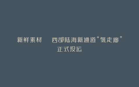 新鲜素材 | 西部陆海新通道“氢走廊”正式投运