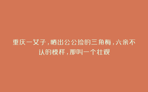 重庆一女子，晒出公公捡的三角梅，六亲不认的模样，那叫一个壮观