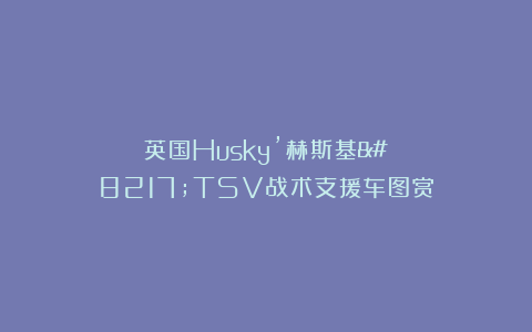 英国Husky’赫斯基’TSV战术支援车图赏