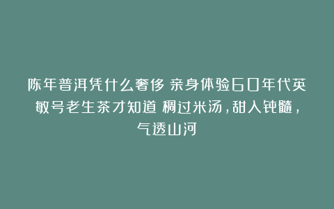 陈年普洱凭什么奢侈？亲身体验60年代英敏号老生茶才知道：稠过米汤，甜入骨髓，气透山河