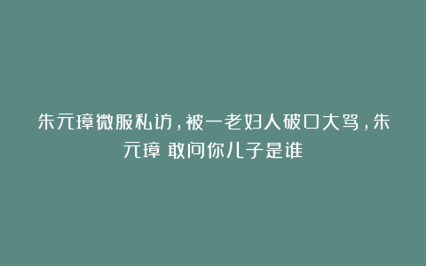 朱元璋微服私访，被一老妇人破口大骂，朱元璋：敢问你儿子是谁？
