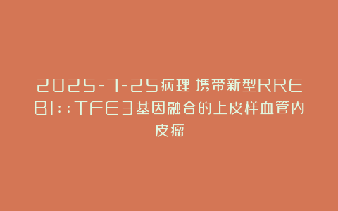 2025-7-25病理：携带新型RREB1::TFE3基因融合的上皮样血管内皮瘤