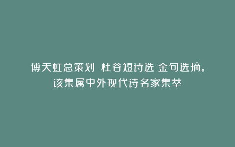 傅天虹总策划：《杜谷短诗选》金句选摘。该集属中外现代诗名家集萃
