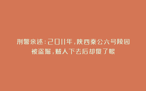 刑警亲述:2011年,陕西秦公六号陵园被盗掘,贼人下去后却傻了眼
