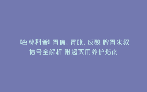 【杏林科普】胃痛、胃胀、反酸？脾胃求救信号全解析！附超实用养护指南