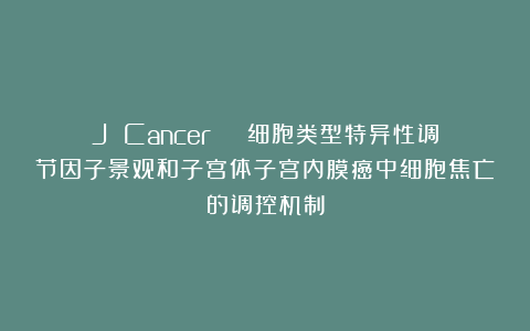 J Cancer | 细胞类型特异性调节因子景观和子宫体子宫内膜癌中细胞焦亡的调控机制