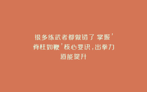 很多练武者都做错了！掌握’脊柱如鞭’核心要诀，出拳力道能提升！