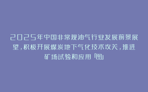 2025年中国非常规油气行业发展前景展望，积极开展煤炭地下气化技术攻关，推进矿场试验和应用「图」