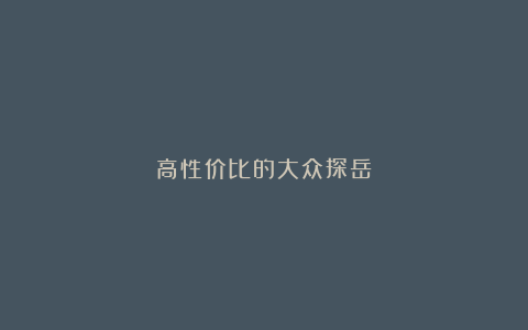 高性价比的大众探岳