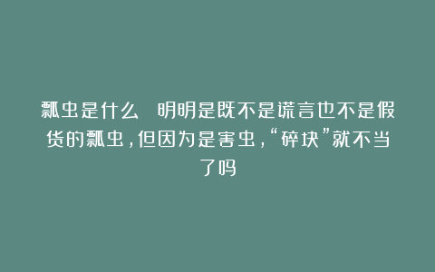 瓢虫是什么？ 明明是既不是谎言也不是假货的瓢虫，但因为是害虫，“碎块”就不当了吗？