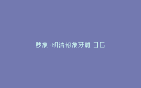 妙象·明清朝象牙雕（36）