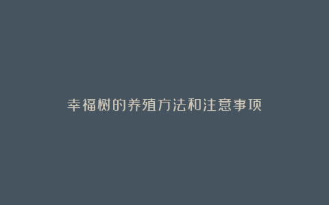 幸福树的养殖方法和注意事项