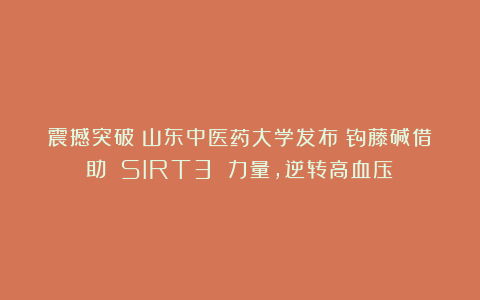 震撼突破！山东中医药大学发布：钩藤碱借助 SIRT3 力量，逆转高血压！