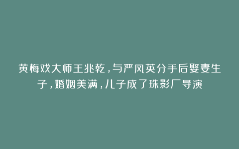黄梅戏大师王兆乾，与严凤英分手后娶妻生子，婚姻美满，儿子成了珠影厂导演
