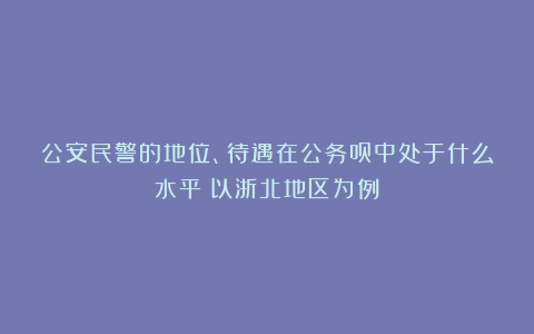 公安民警的地位、待遇在公务员中处于什么水平？以浙北地区为例
