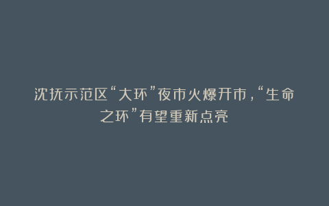 沈抚示范区“大环”夜市火爆开市，“生命之环”有望重新点亮！