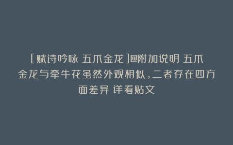 [赋诗吟咏：五爪金龙]@附加说明：五爪金龙与牵牛花虽然外观相似，二者存在四方面差异（详看贴文）