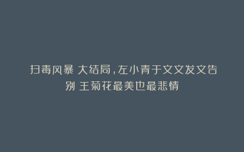 《扫毒风暴》大结局，左小青于文文发文告别！王菊花最美也最悲情