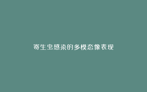 寄生虫感染的多模态像表现