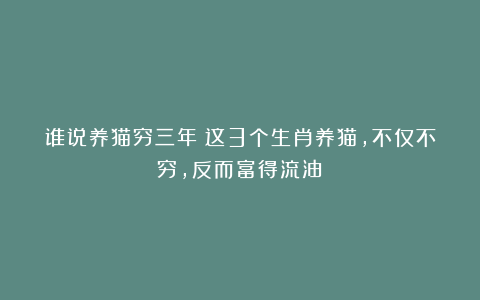 谁说养猫穷三年？这3个生肖养猫，不仅不穷，反而富得流油！