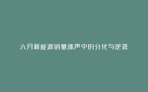 六月新能源销量涨声中的分化与逆袭