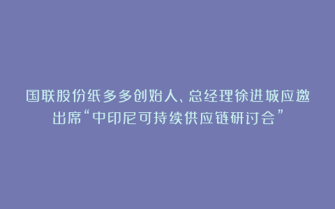 国联股份纸多多创始人、总经理徐进城应邀出席“中印尼可持续供应链研讨会”