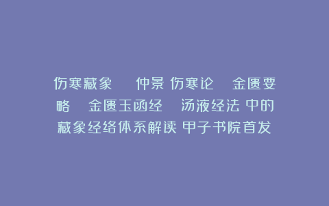 伤寒藏象 | 仲景《伤寒论》 《金匮要略》 《金匮玉函经》 《汤液经法》中的藏象经络体系解读(甲子书院首发)
