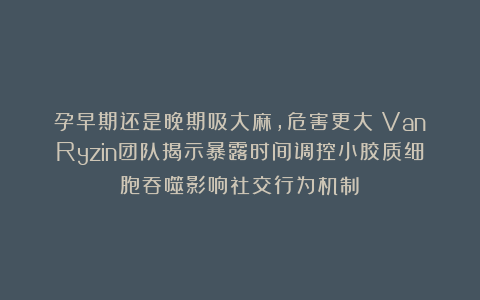 孕早期还是晚期吸大麻，危害更大？VanRyzin团队揭示暴露时间调控小胶质细胞吞噬影响社交行为机制​