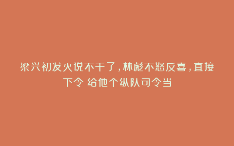 梁兴初发火说不干了,林彪不怒反喜,直接下令:给他个纵队司令当
