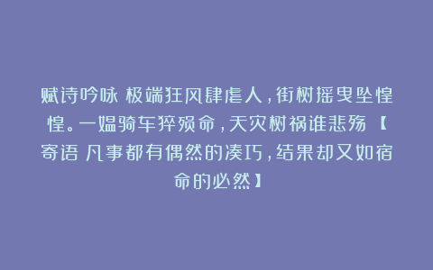 赋诗吟咏：极端狂风肆虐人，街树摇曳坠惶惶。一媪骑车猝殒命，天灾树祸谁悲殇？【寄语：凡事都有偶然的凑巧，结果却又如宿命的必然！】