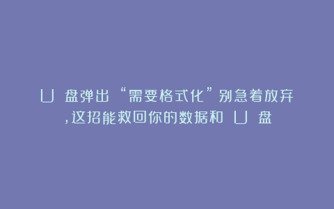 U 盘弹出 “需要格式化”？别急着放弃，这招能救回你的数据和 U 盘