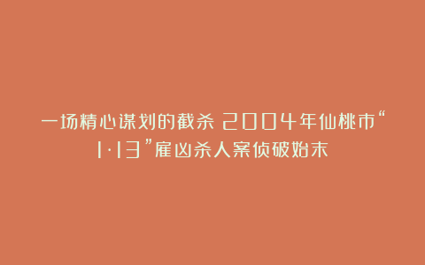 一场精心谋划的截杀！2004年仙桃市“1·13”雇凶杀人案侦破始末